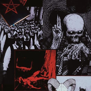 Meet your Posher, Mia